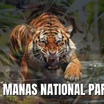 Royal Manas National Park
