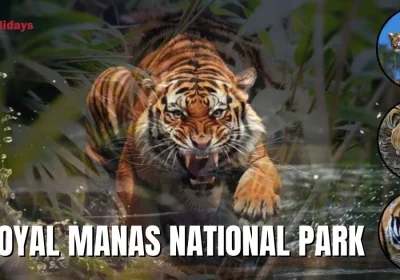 Royal Manas National Park