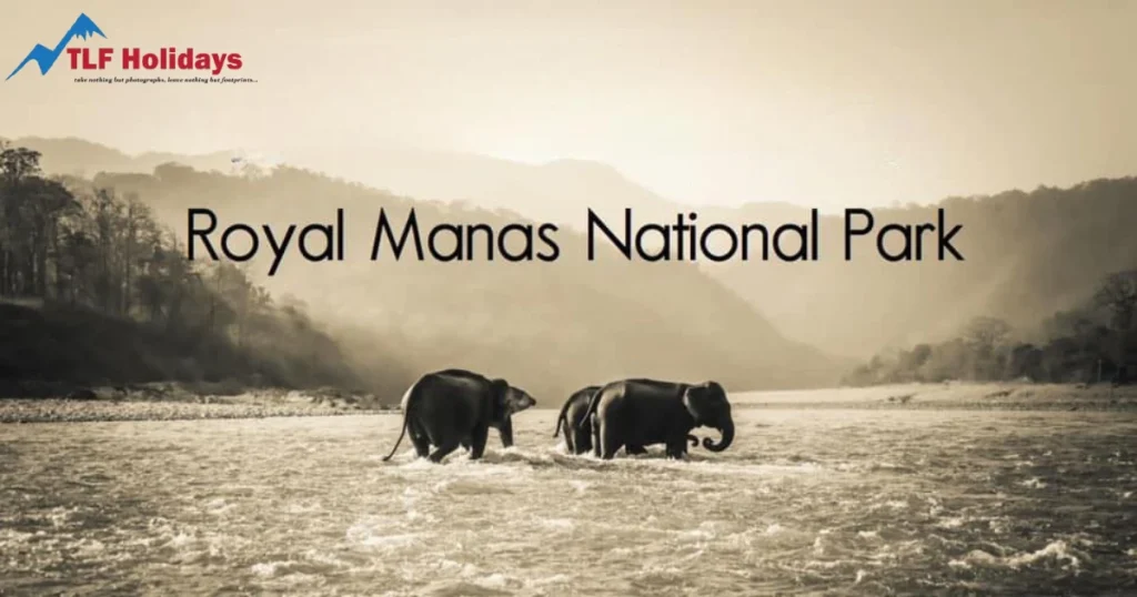Royal Manas National Park In Bhutan