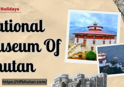 National Museum Of Bhutan
